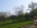 47801.jpg