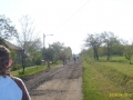 47807.jpg