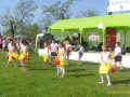 47831.jpg