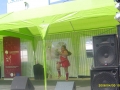 47856.jpg