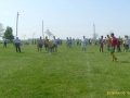 47864.jpg