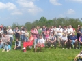 48031.jpg