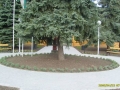 47119.jpg