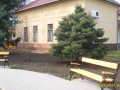 47124.jpg