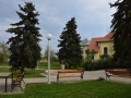 Kuncsorba közpark