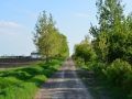 DSC_0185.jpg