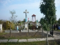42818.jpg